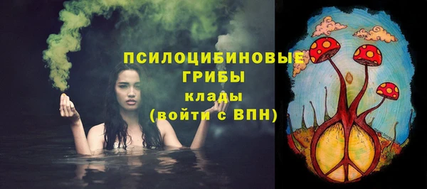 Альфа ПВП Бородино