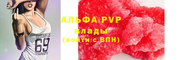 Альфа ПВП Бородино
