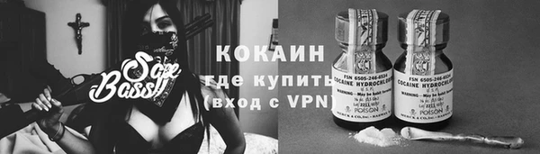 Альфа ПВП Бородино