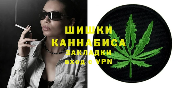 Альфа ПВП Бородино